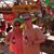 Dawna Seawell's profile image