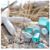 Linda Apsey's profile image