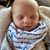 Steven Pothier's profile image