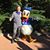 Scott Kisner's profile image