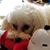 Cindy G Smith's profile image