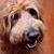 Kathy Candy March Janes's profile image
