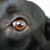 Holly Forbes's profile image