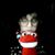 Doris Blevins's profile image