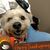 Sherry Ellis's profile image