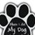 Jim McCauley's profile image