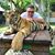 Marty Martin's profile image