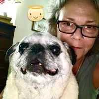 Kathy Walden's profile image