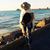 Shaya Akobian's profile image