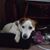 Donna Hord's profile image