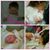 Destiny Lynn Graber's profile image