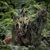 James Gyre's profile image