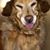 Shannon O'Mara's profile image