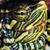 Justin Lafollette's profile image