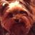 Linda Wiersema's profile image