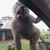 Robert Fitzharris's profile image
