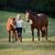 Nicole Mitcham Kenney's profile image