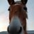 Jennifer Greve's profile image