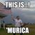Timothy Seidel's profile image