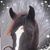 Jennifer Jacobson's profile image