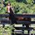 Karen Gerber Paverd's profile image