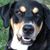 Stephanie Schaaf's profile image