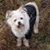 Rex Geer's profile image