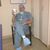 Mac McCaughan's profile image