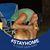 Adam Bowser's profile image