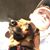 Zeek LeMay's profile image