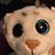 Viola Purcell's profile image