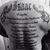 Christophor Moyano's profile image