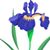 Dee Roed's profile image