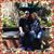 Jamie Trosper Neal's profile image