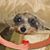Kim Stanley Hudak's profile image