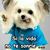 Mireliux Santiux's profile image