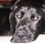 Myke Goings's profile image