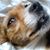 Susan Brinkley's profile image