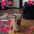 Kathy Jakubowski's profile image