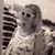 Rae Jean Volkmer Hoff's profile image