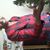 Carol Copland's profile image