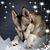 Patty Maddocks's profile image