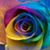 Roslyn Goldfarb Kirsh's profile image