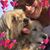 Jill Moreaux's profile image