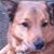 Carole Nilsen's profile image