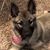 Sandy Cassetta's profile image