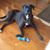 Shona Paolino's profile image