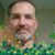 Paul Harrison's profile image