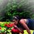 Tonya Carpenter's profile image