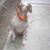 Richard Halferty's profile image